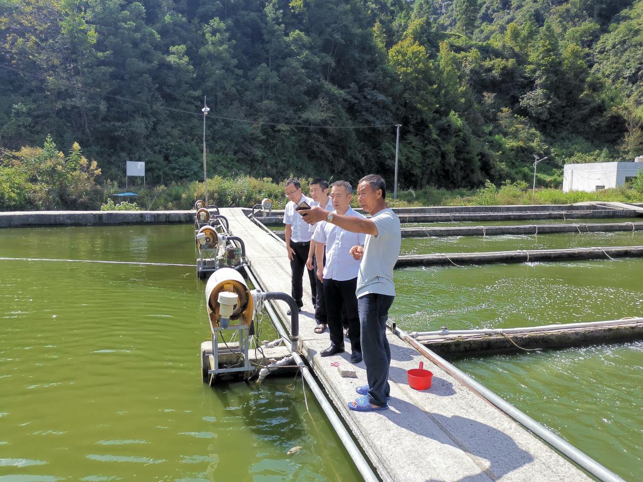 三社联建"合作模式作为抓手,对卢永亮的产业发展提供有效金融助力支持